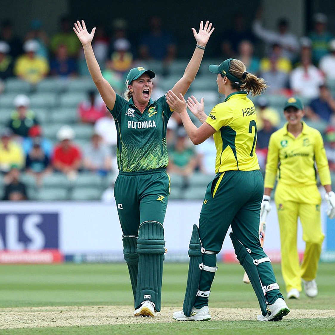 The Lesson of Zero Information Points: Why an Empty Cricket Analysis Handoff Is More Honest Than a Filled One The Lesson of Zero Information Points: Why an Empty Cricket Analysis Handoff Is More Honest Than a Filled One