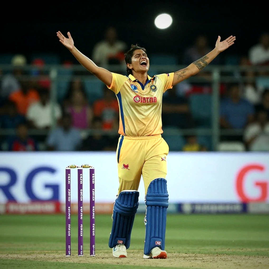 লাল বলের লেজার: ৪২ বছরে ওয়েইন ম্যাডসেন আর ডার্বিশায়ারের এক মৌসুমের চুক্তি